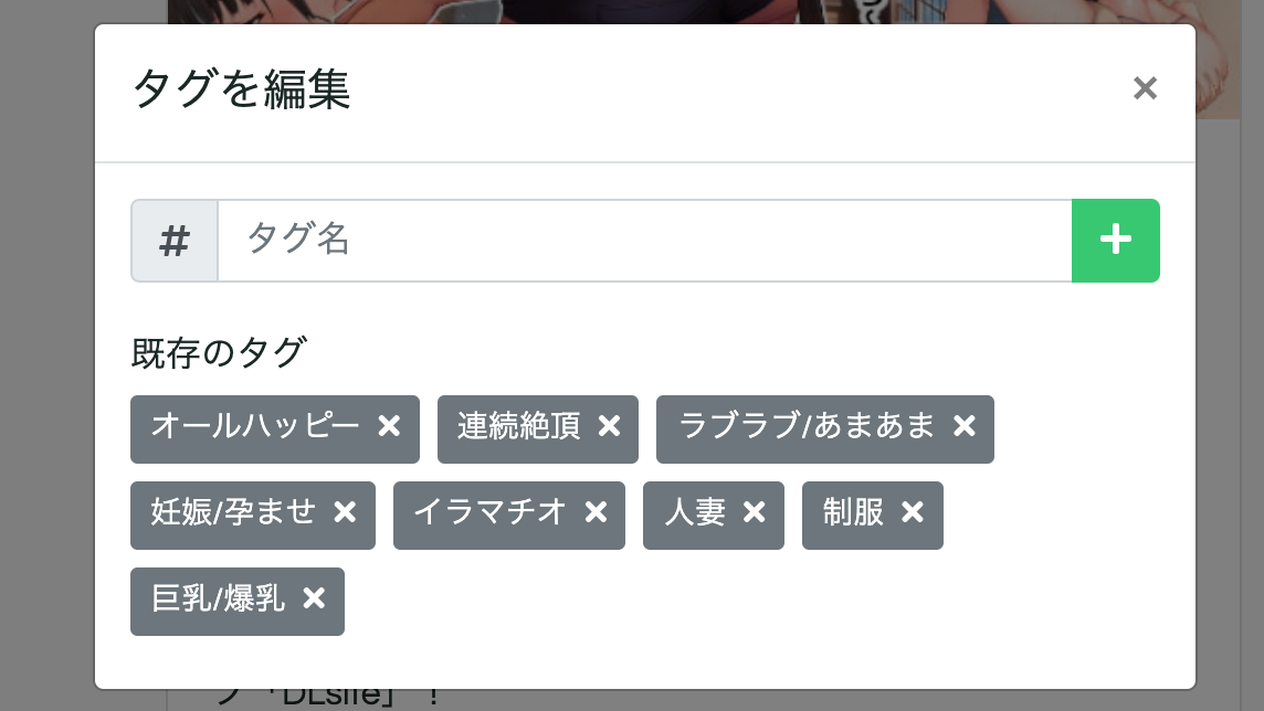 オカズのタグを編集する様子